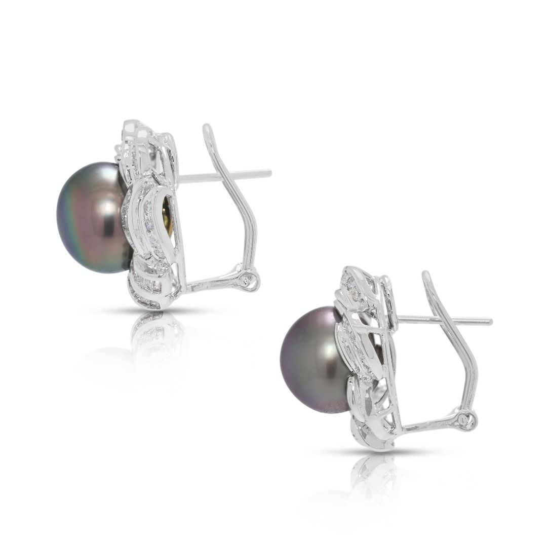 Classic Tahitian Pearl & 0.43ct Natural Diamond Earrings in 18K White Gold (New)