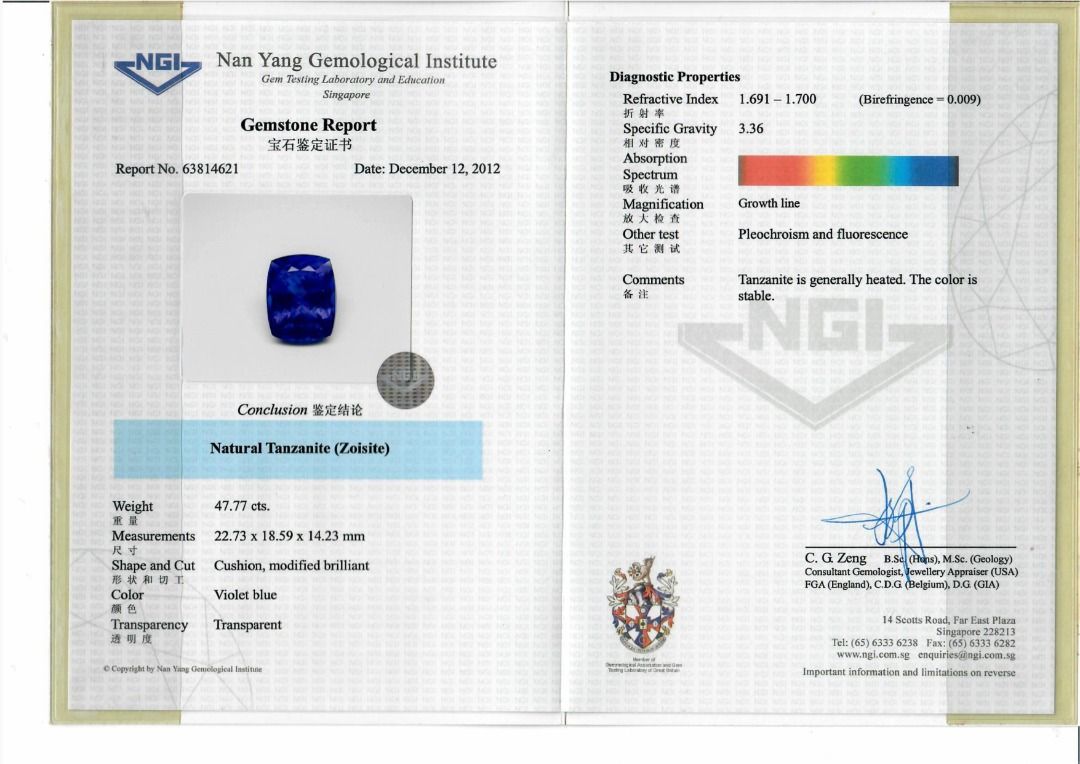 Elegant 49.06ct Natural Tanzanite and Diamond High-Jewelry Statement Pendant - NGI Certified