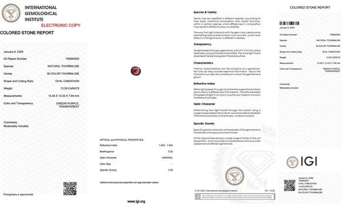 IGI Certified 13.59ct Oval Cabochon Tourmaline