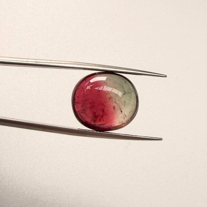 IGI Certified 13.59ct Oval Cabochon Tourmaline