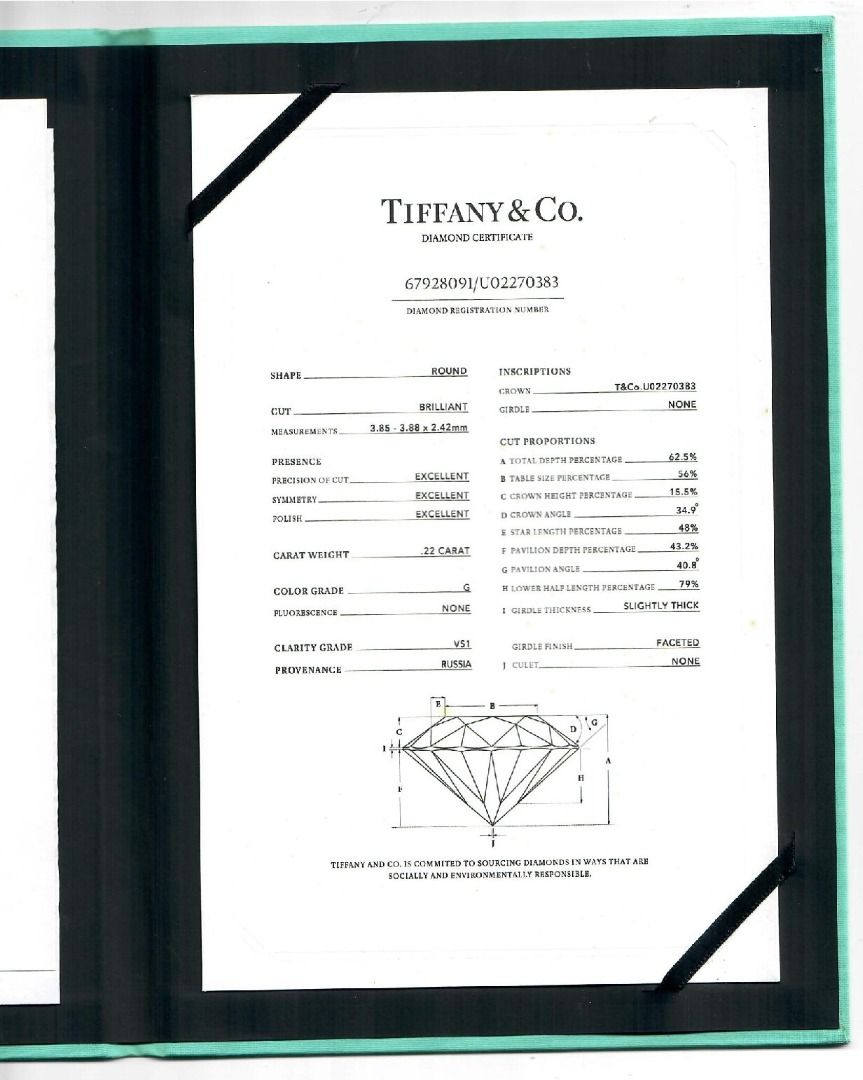 Tiffany & Co. 0.40ct Pave Natural Diamond Ring in 18K White Gold with Certificate