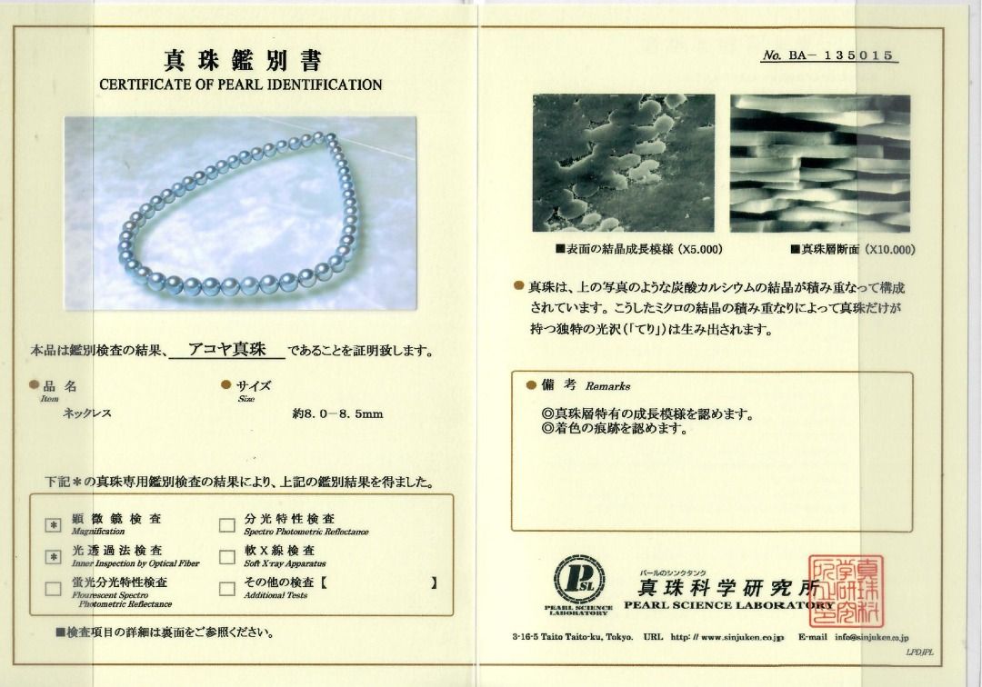 Vibrant 8.5mm Blue Akoya Pearl Silver Necklace (New)