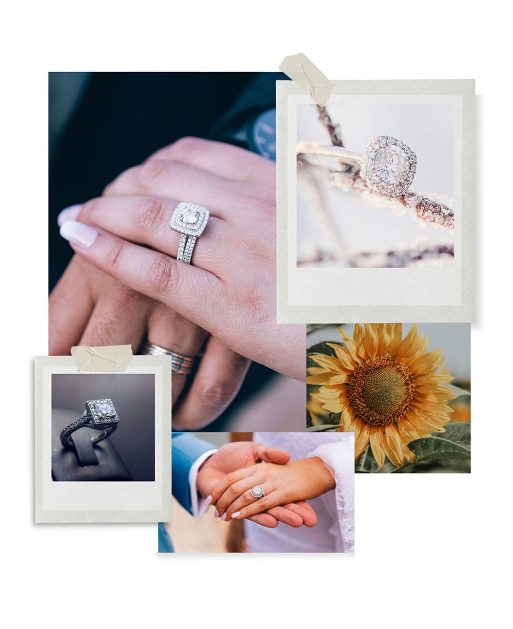 Conceptualise Ideas with Curators