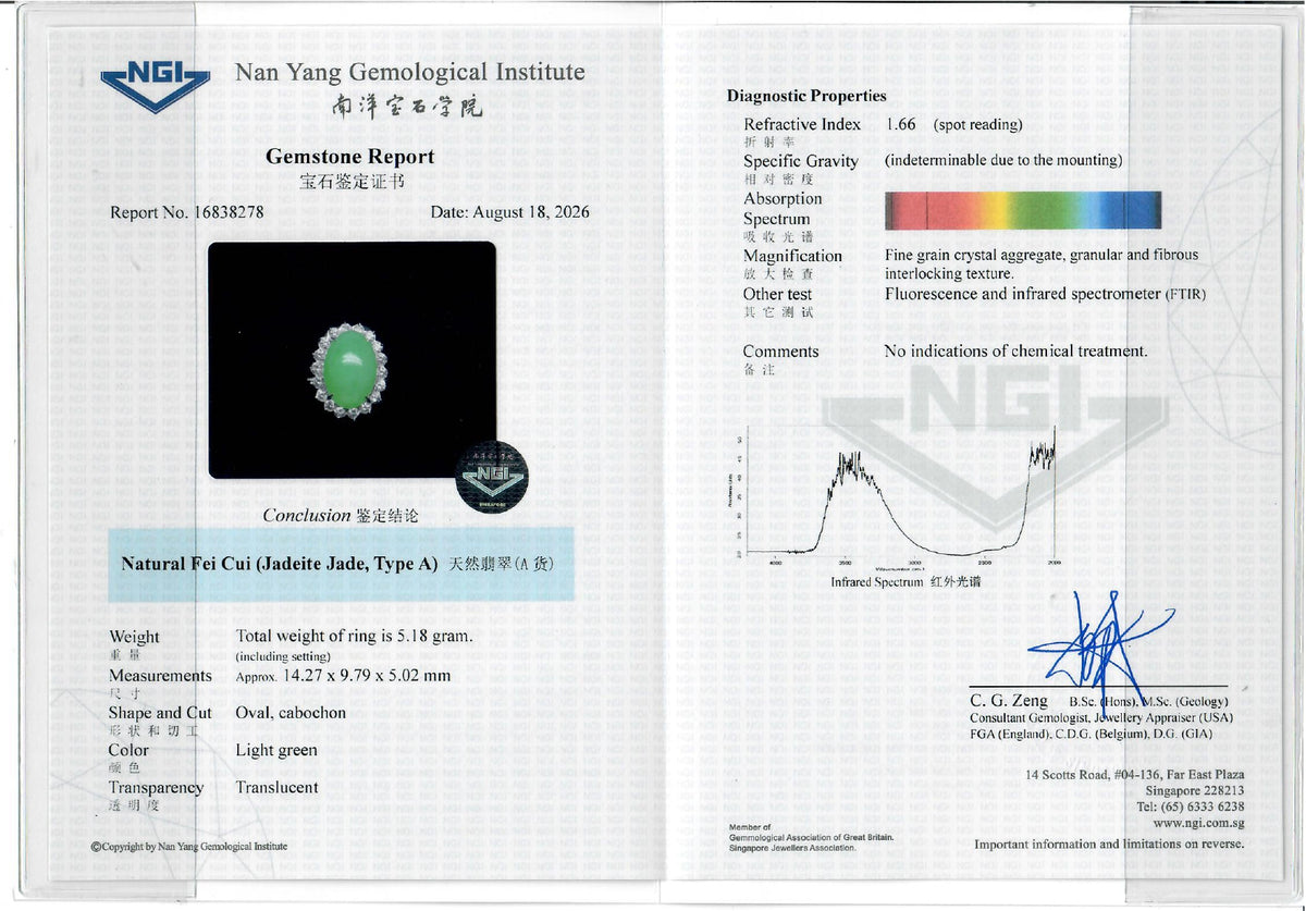 Exquisite Natural Fei Cui Jadeite Jade and 0.36ct Natural Diamond Halo Ring in 14K White Gold - NGI Certified