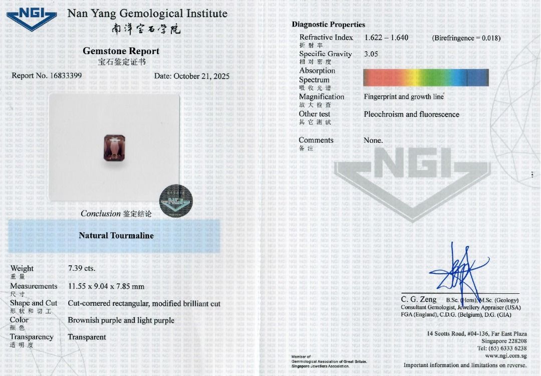 Elegant 7.39ct Bi-Color Rectangular Modified Brilliant Natural Tourmaline Loose Gemstone with NGI Certificate