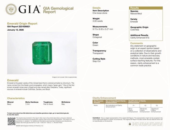 GIA Certified 3.00ct Octagonal-Shaped Emerald Gemstone