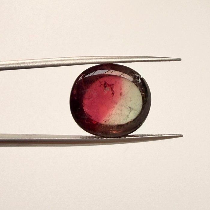 IGI Certified 13.59ct Oval Cabochon Tourmaline