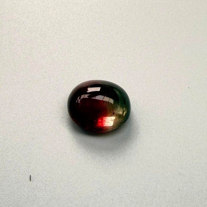 IGI Certified 13.59ct Oval Cabochon Tourmaline