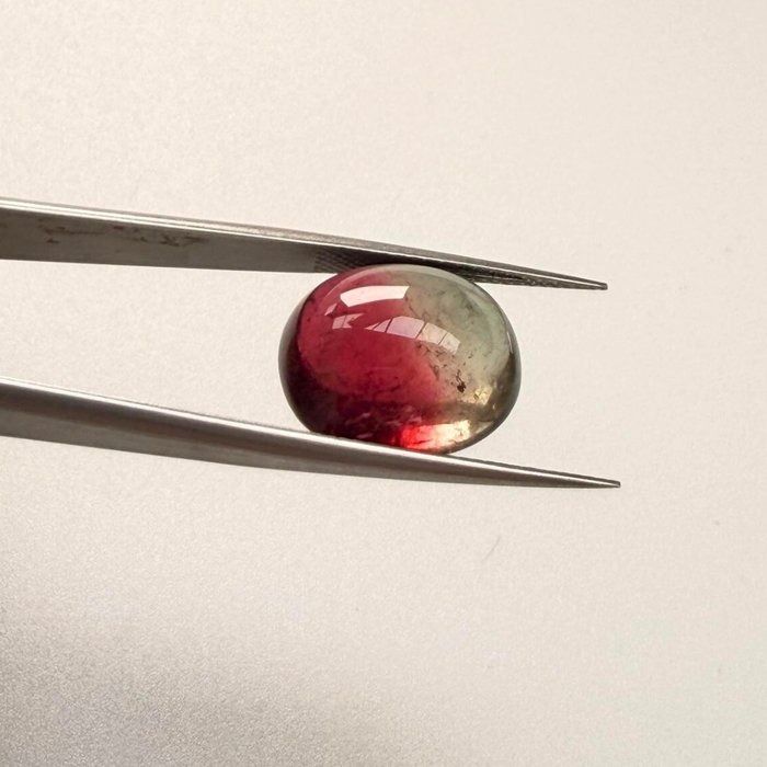 IGI Certified 13.59ct Oval Cabochon Tourmaline