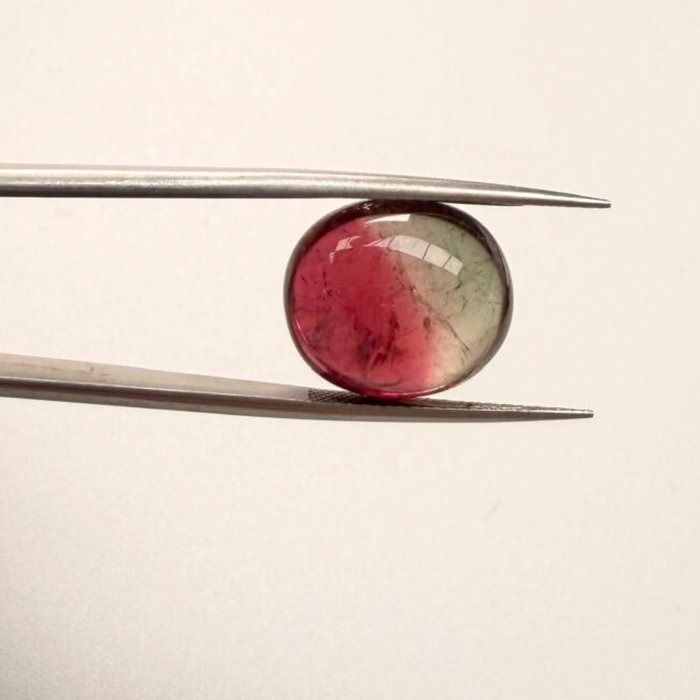 IGI Certified 13.59ct Oval Cabochon Tourmaline