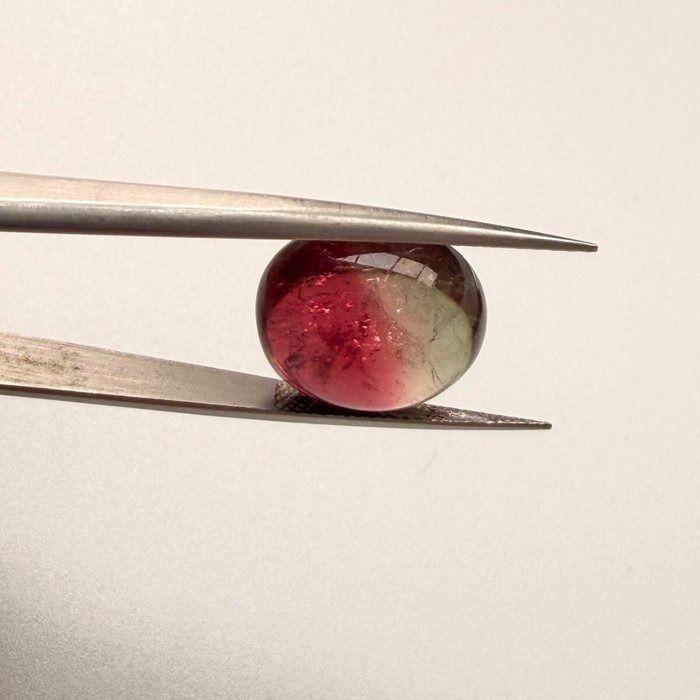 IGI Certified 13.59ct Oval Cabochon Tourmaline