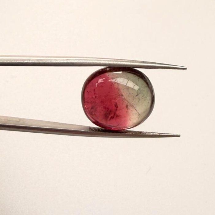 IGI Certified 13.59ct Oval Cabochon Tourmaline