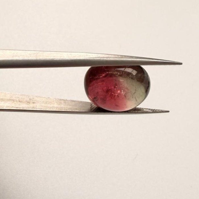 IGI Certified 13.59ct Oval Cabochon Tourmaline