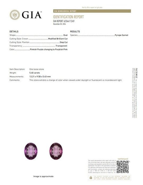 Mesmerizing 6.49ct Garnet and Diamonds Cocktail Ring in 18k White Gold - GIA Certified