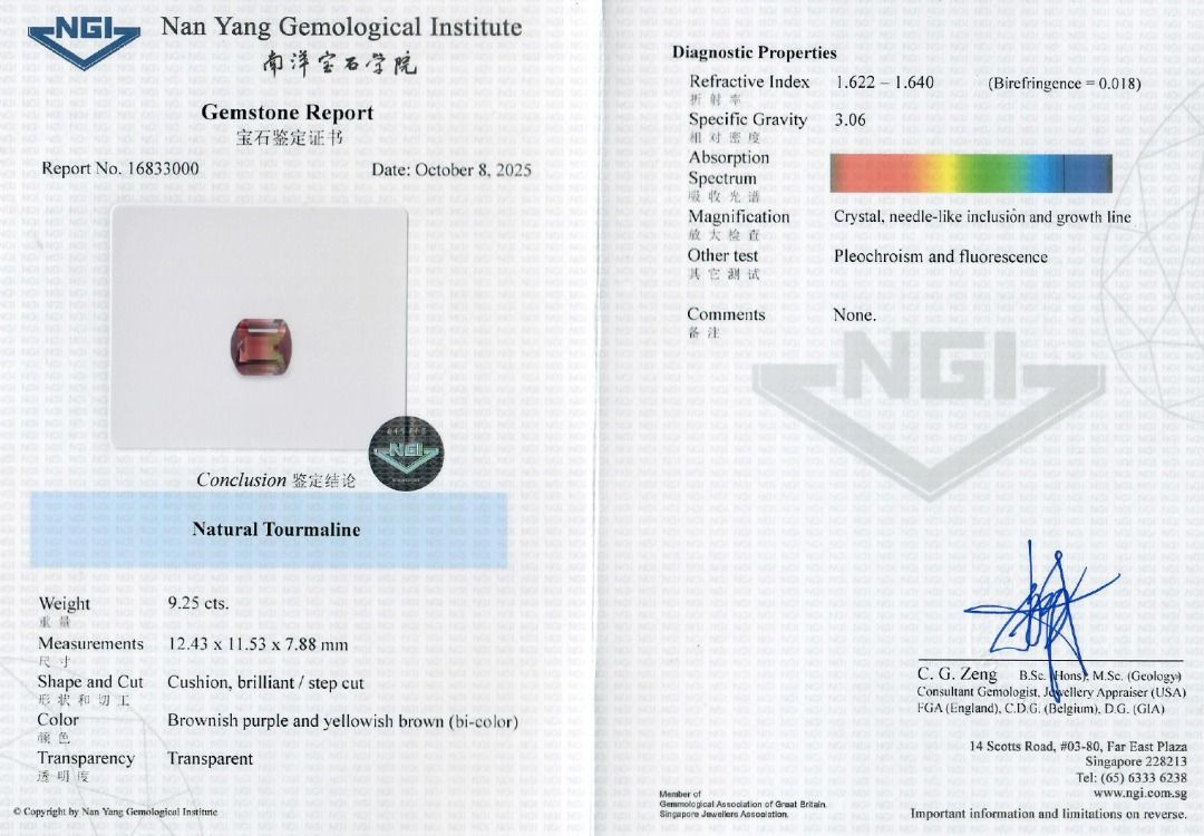 Rare 9.25ct Bi-Color Cushion Cut Natural Tourmaline Loose Gemstone with NGI Certificate