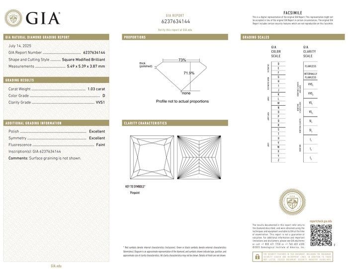 Stunning 1.15ct Diamonds Cluster Ring in 14k White Gold - GIA Certified