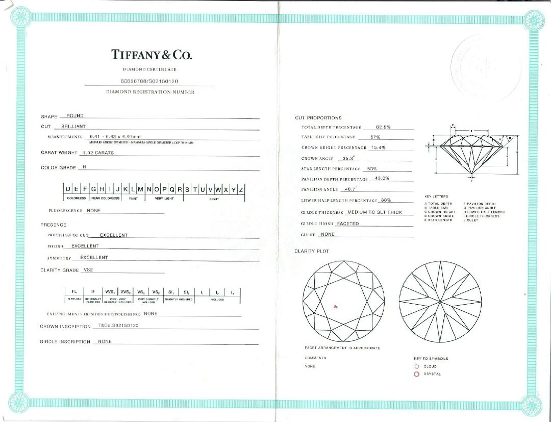 Tiffany & Co. 1 carat Natural Diamond Platinum Halo Ring in 18K White Gold