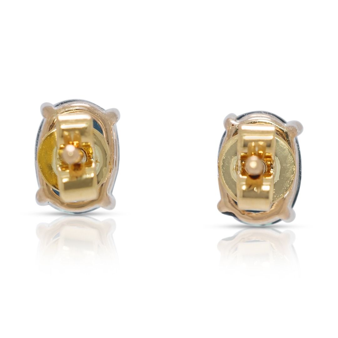 Vibrant 1.62ct Sapphire 18K Yellow Gold Stud Earrings - (Unworn)