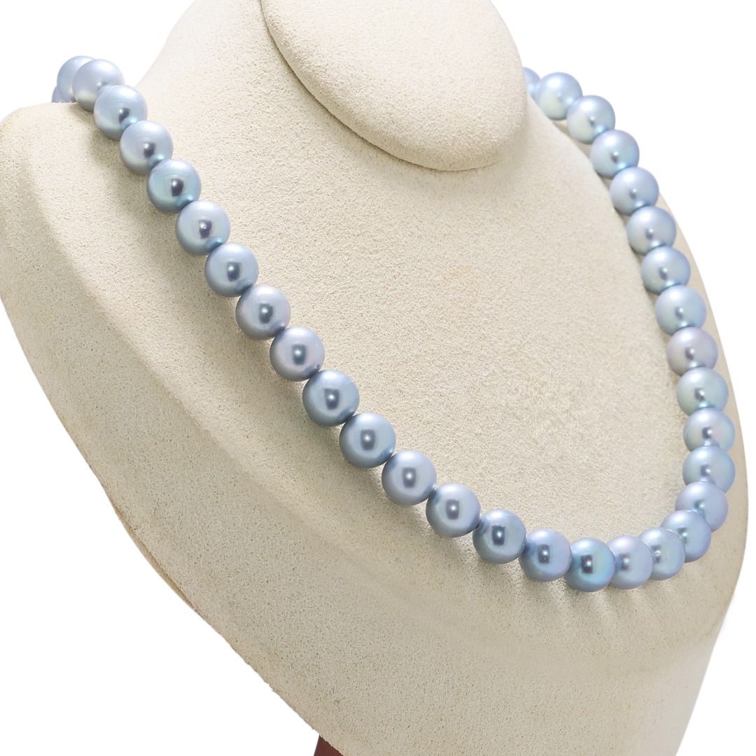 Vibrant 8.5mm Blue Akoya Pearl Silver Necklace (New)
