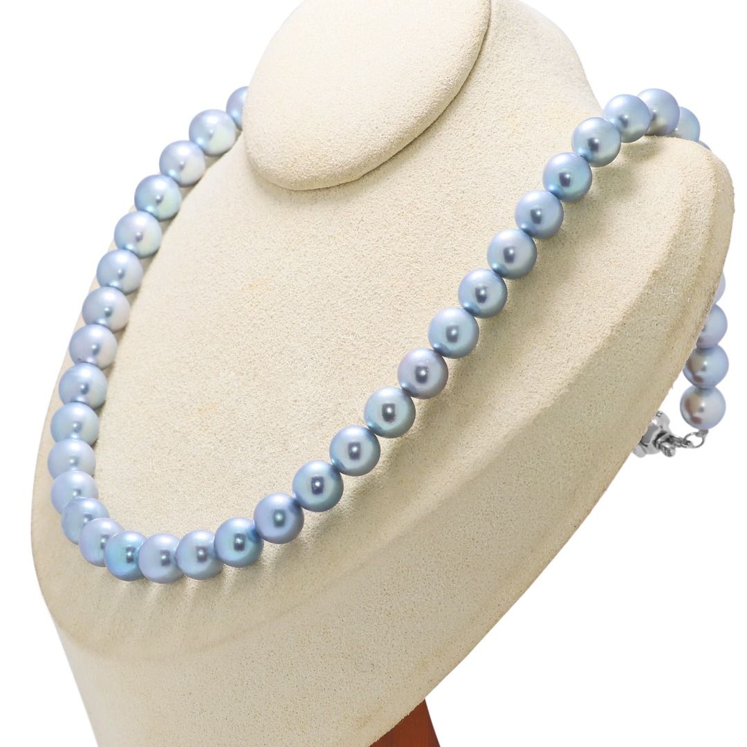Vibrant 8.5mm Blue Akoya Pearl Silver Necklace (New)